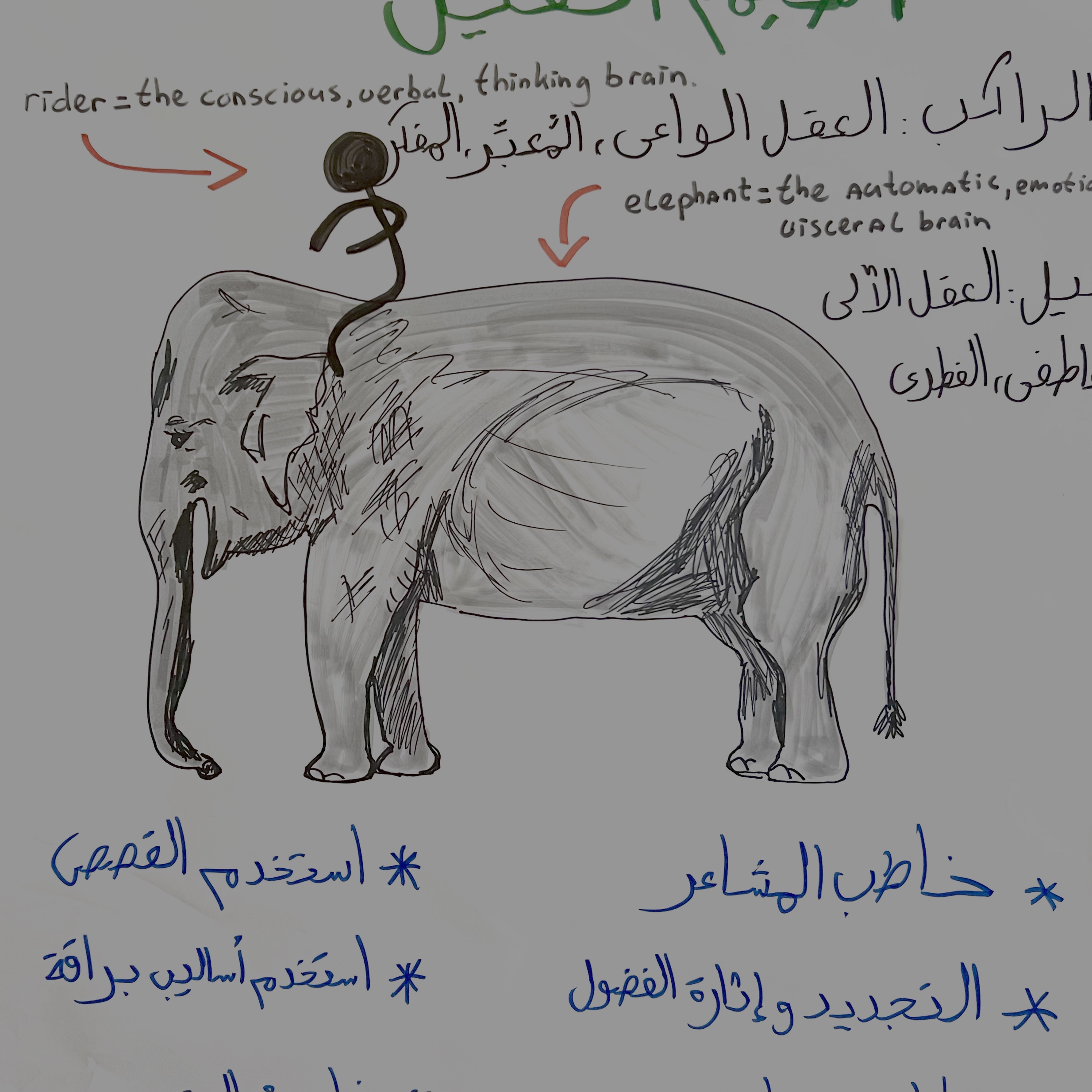 Hand-drawn elephant and rider